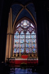Notre Dame Stained Glass 