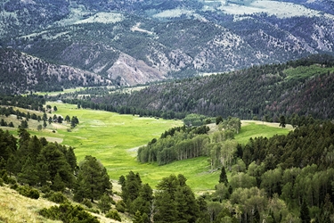 Colorado Green Valley 