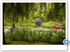 Giverny-Monet-Garden_pond